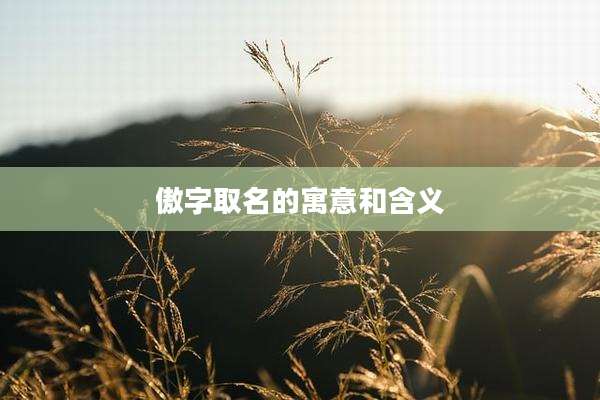 傲字取名的寓意和含义