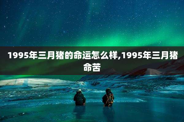 1995年三月猪的命运怎么样,1995年三月猪命苦