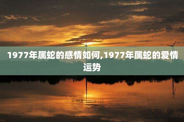 1977年属蛇的感情如何,1977年属蛇的爱情运势