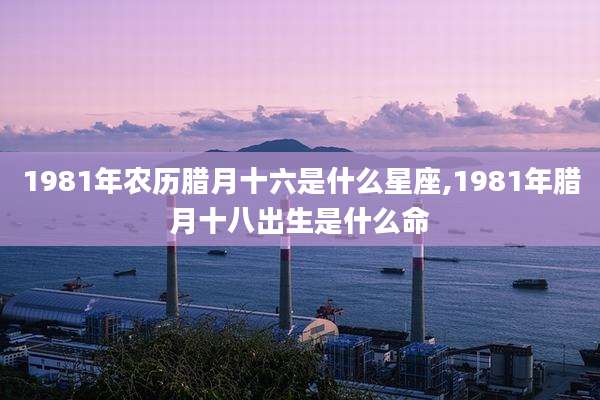 1981年农历腊月十六是什么星座,1981年腊月十八出生是什么命