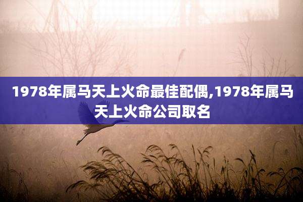 1978年属马天上火命最佳配偶,1978年属马天上火命公司取名