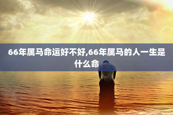 66年属马命运好不好,66年属马的人一生是什么命