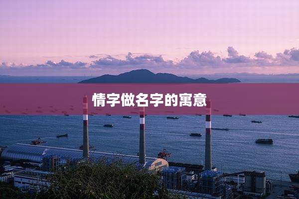 情字做名字的寓意
