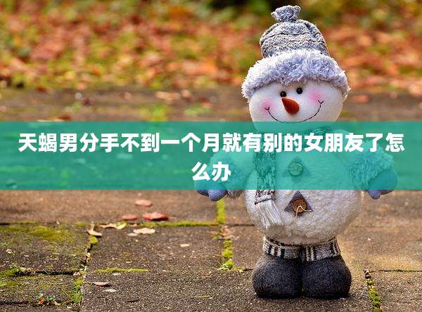 天蝎男分手不到一个月就有别的女朋友了怎么办