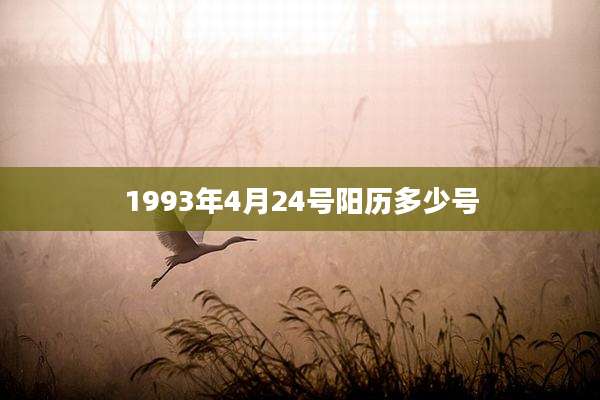 1993年4月24号阳历多少号