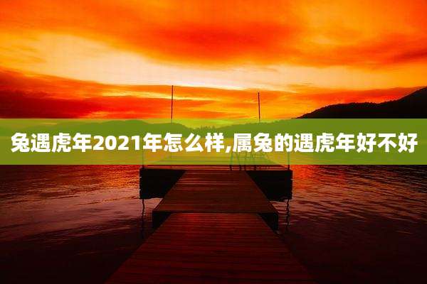 兔遇虎年2021年怎么样,属兔的遇虎年好不好