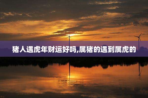 猪人遇虎年财运好吗,属猪的遇到属虎的