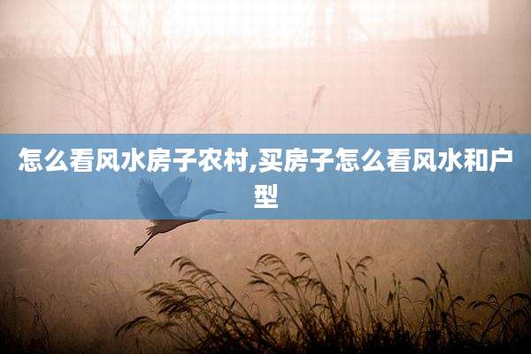 怎么看风水房子农村,买房子怎么看风水和户型