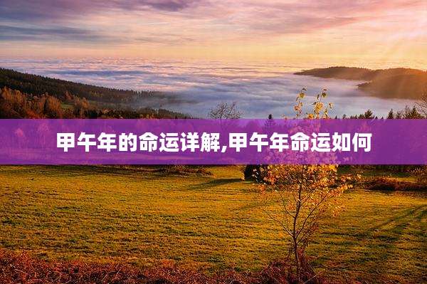 甲午年的命运详解,甲午年命运如何