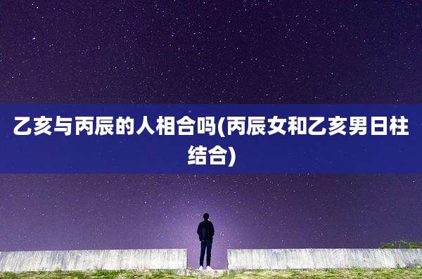 乙亥与丙辰的人相合吗(丙辰女和乙亥男日柱结合)