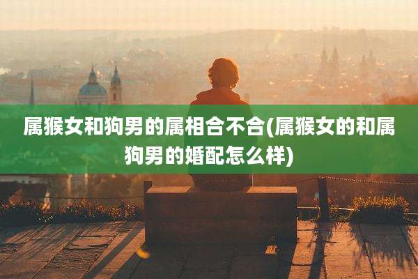 属猴女和狗男的属相合不合(属猴女的和属狗男的婚配怎么样)