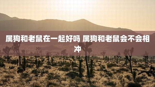 属狗和老鼠在一起好吗 属狗和老鼠会不会相冲