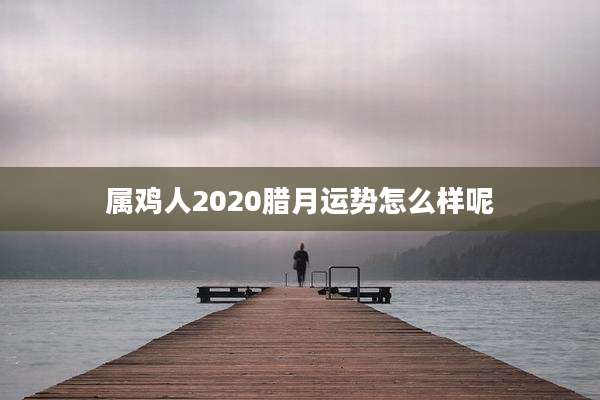 属鸡人2020腊月运势怎么样呢