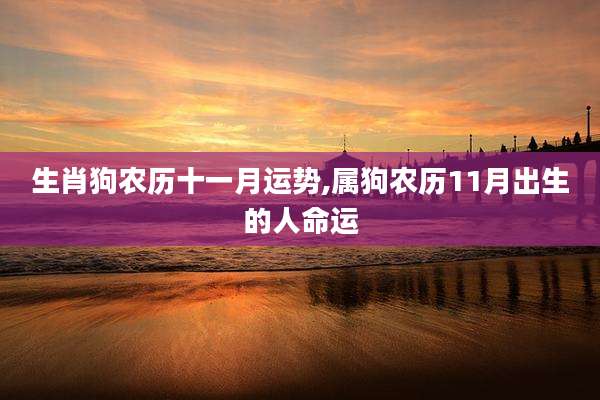 生肖狗农历十一月运势,属狗农历11月出生的人命运