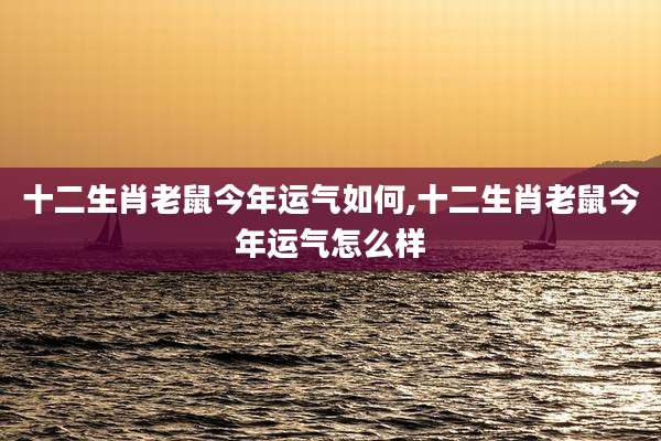 十二生肖老鼠今年运气如何,十二生肖老鼠今年运气怎么样