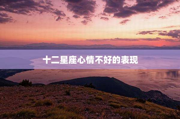 十二星座心情不好的表现
