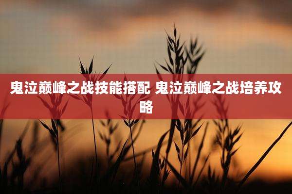 鬼泣巅峰之战技能搭配 鬼泣巅峰之战培养攻略