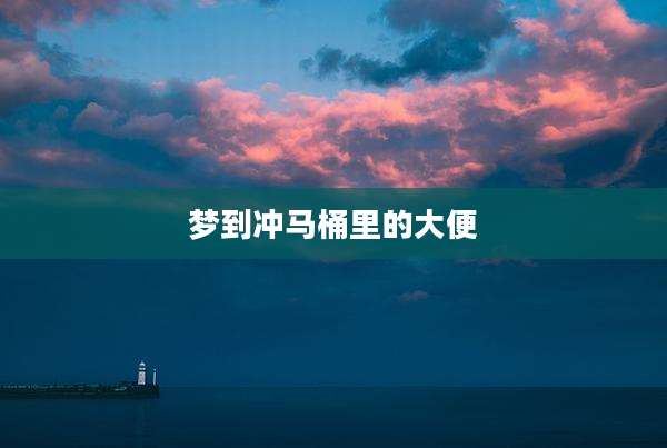梦到冲马桶里的大便