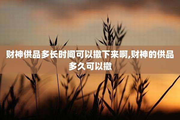 财神供品多长时间可以撤下来啊,财神的供品多久可以撤