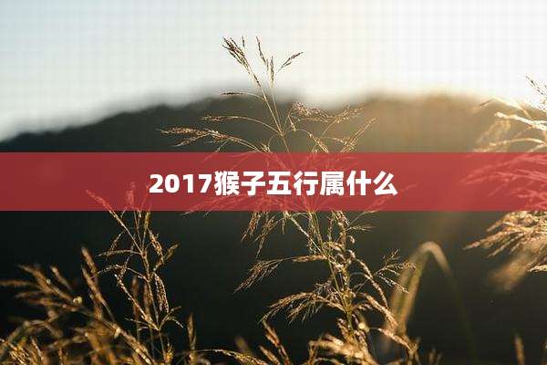 2017猴子五行属什么