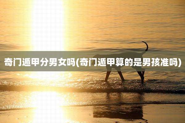 奇门遁甲分男女吗(奇门遁甲算的是男孩准吗)