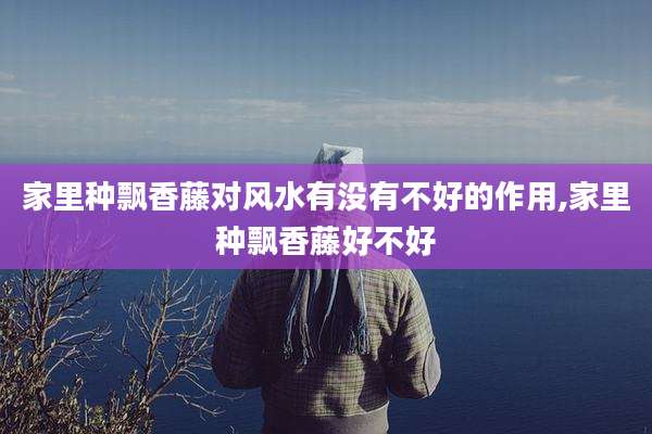 家里种飘香藤对风水有没有不好的作用,家里种飘香藤好不好