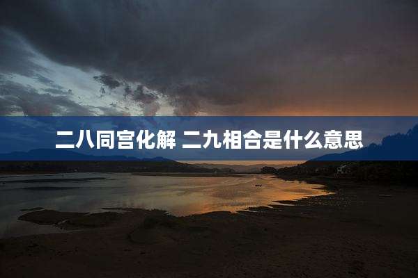 二八同宫化解 二九相合是什么意思