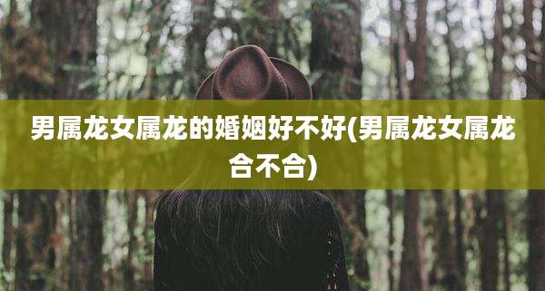 男属龙女属龙的婚姻好不好(男属龙女属龙合不合)