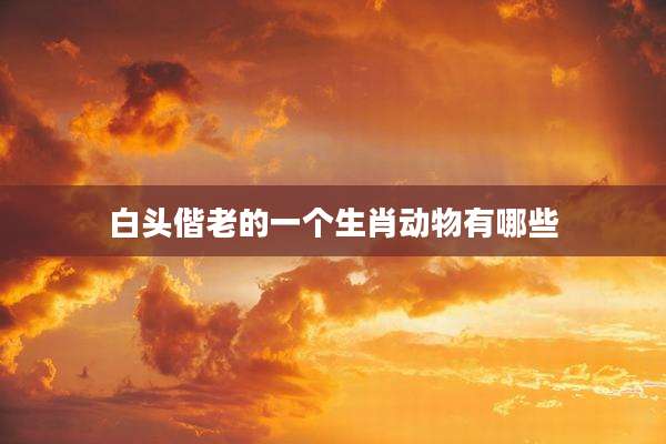 白头偕老的一个生肖动物有哪些
