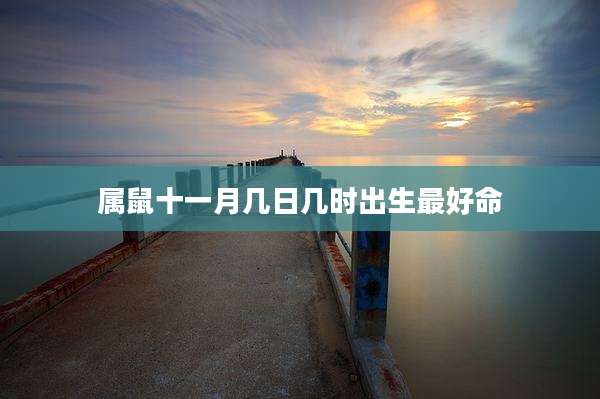 属鼠十一月几日几时出生最好命