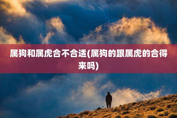 属狗和属虎合不合适(属狗的跟属虎的合得来吗)