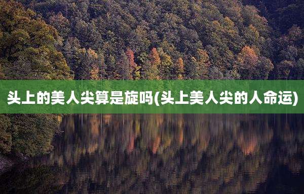 头上的美人尖算是旋吗(头上美人尖的人命运)