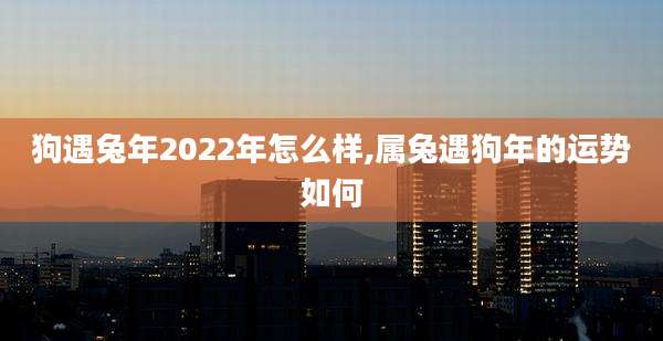 狗遇兔年2022年怎么样,属兔遇狗年的运势如何