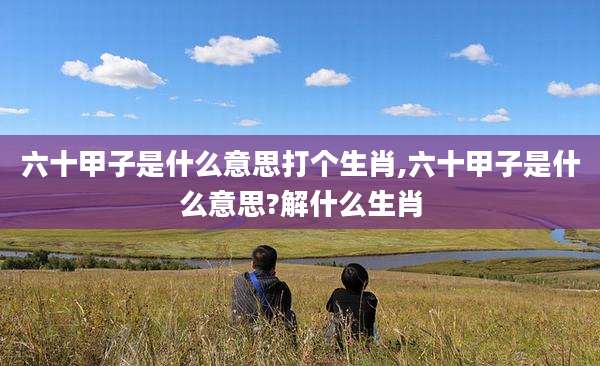 六十甲子是什么意思打个生肖,六十甲子是什么意思?解什么生肖