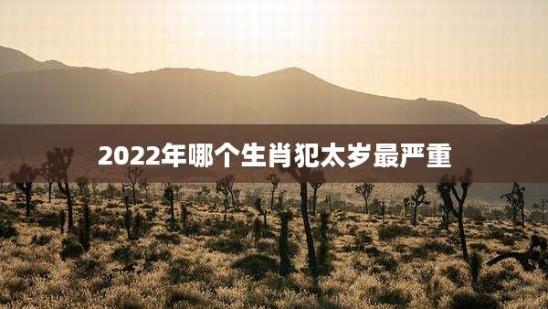 2022年哪个生肖犯太岁最严重