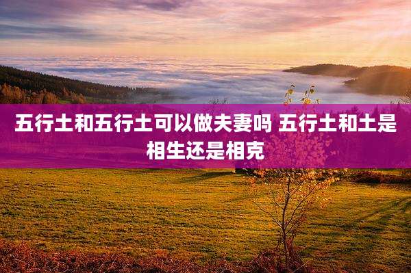 五行土和五行土可以做夫妻吗 五行土和土是相生还是相克