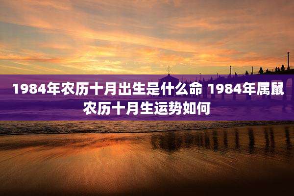 1984年农历十月出生是什么命 1984年属鼠农历十月生运势如何