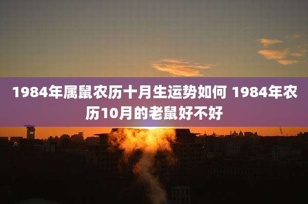 1984年属鼠农历十月生运势如何 1984年农历10月的老鼠好不好