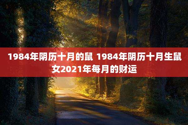 1984年阴历十月的鼠 1984年阴历十月生鼠女2021年每月的财运