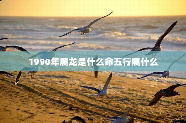 1990年属龙是什么命五行属什么