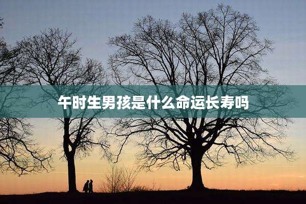 午时生男孩是什么命运长寿吗