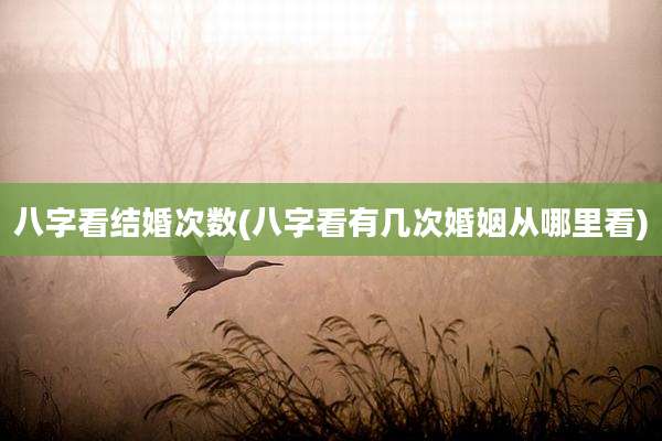 八字看结婚次数(八字看有几次婚姻从哪里看)