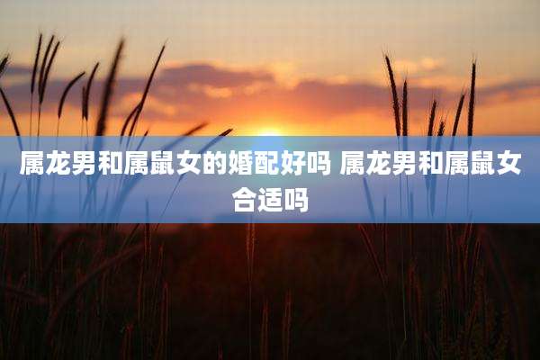 属龙男和属鼠女的婚配好吗 属龙男和属鼠女合适吗