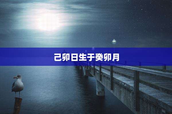 己卯日生于癸卯月