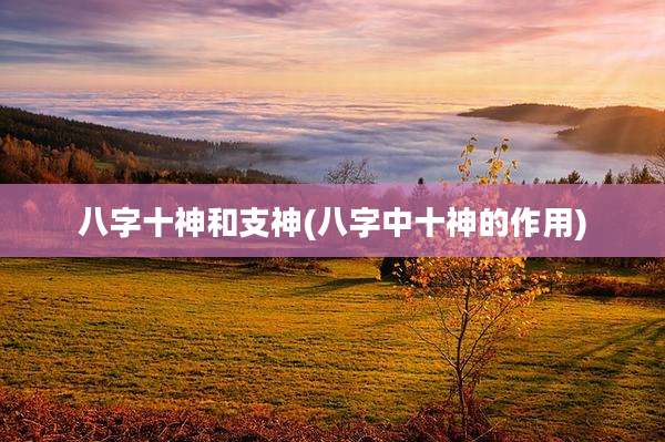八字十神和支神(八字中十神的作用)