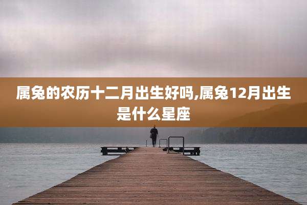 属兔的农历十二月出生好吗,属兔12月出生是什么星座