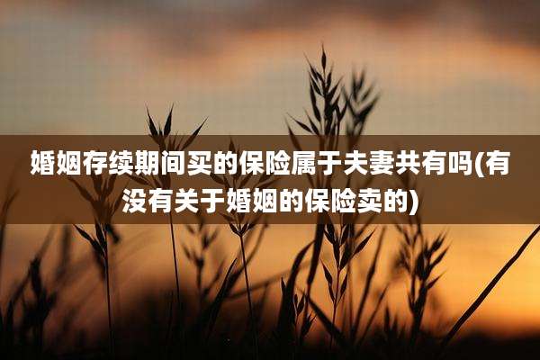 婚姻存续期间买的保险属于夫妻共有吗(有没有关于婚姻的保险卖的)