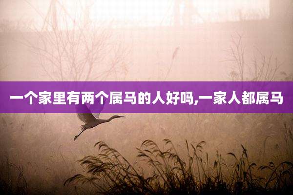 一个家里有两个属马的人好吗,一家人都属马
