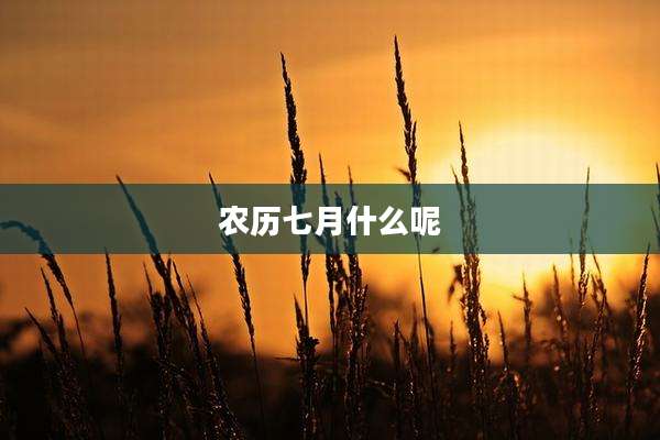 农历七月什么呢