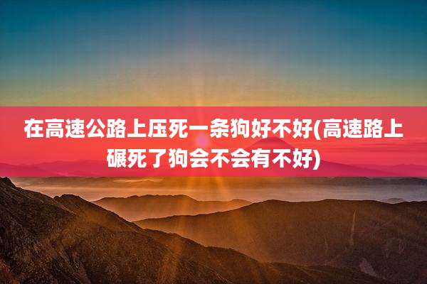 在高速公路上压死一条狗好不好(高速路上碾死了狗会不会有不好)